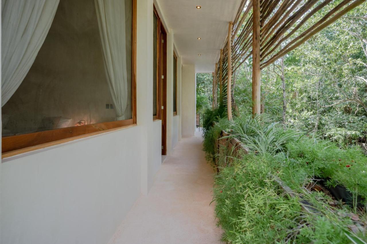 Naum - Secluded Villa With Private Cenote 图卢姆 外观 照片