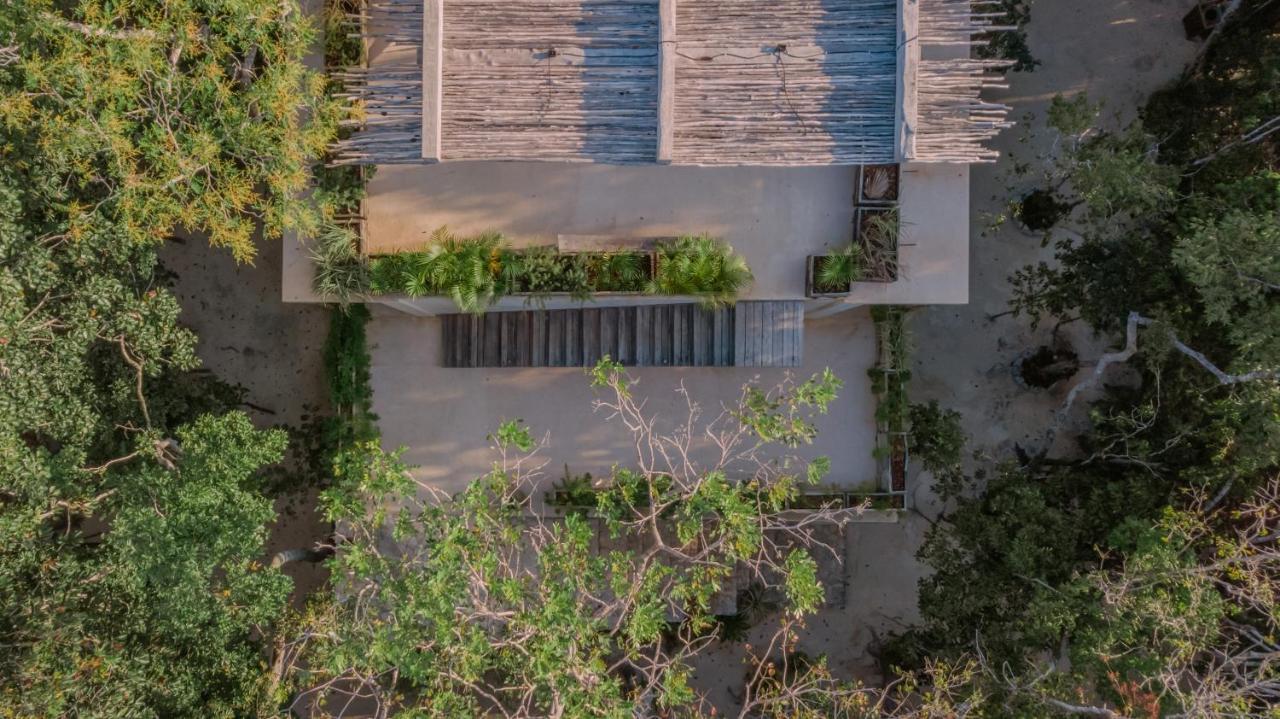 Naum - Secluded Villa With Private Cenote 图卢姆 外观 照片