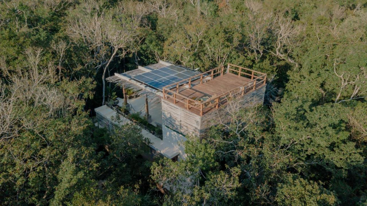Naum - Secluded Villa With Private Cenote 图卢姆 外观 照片
