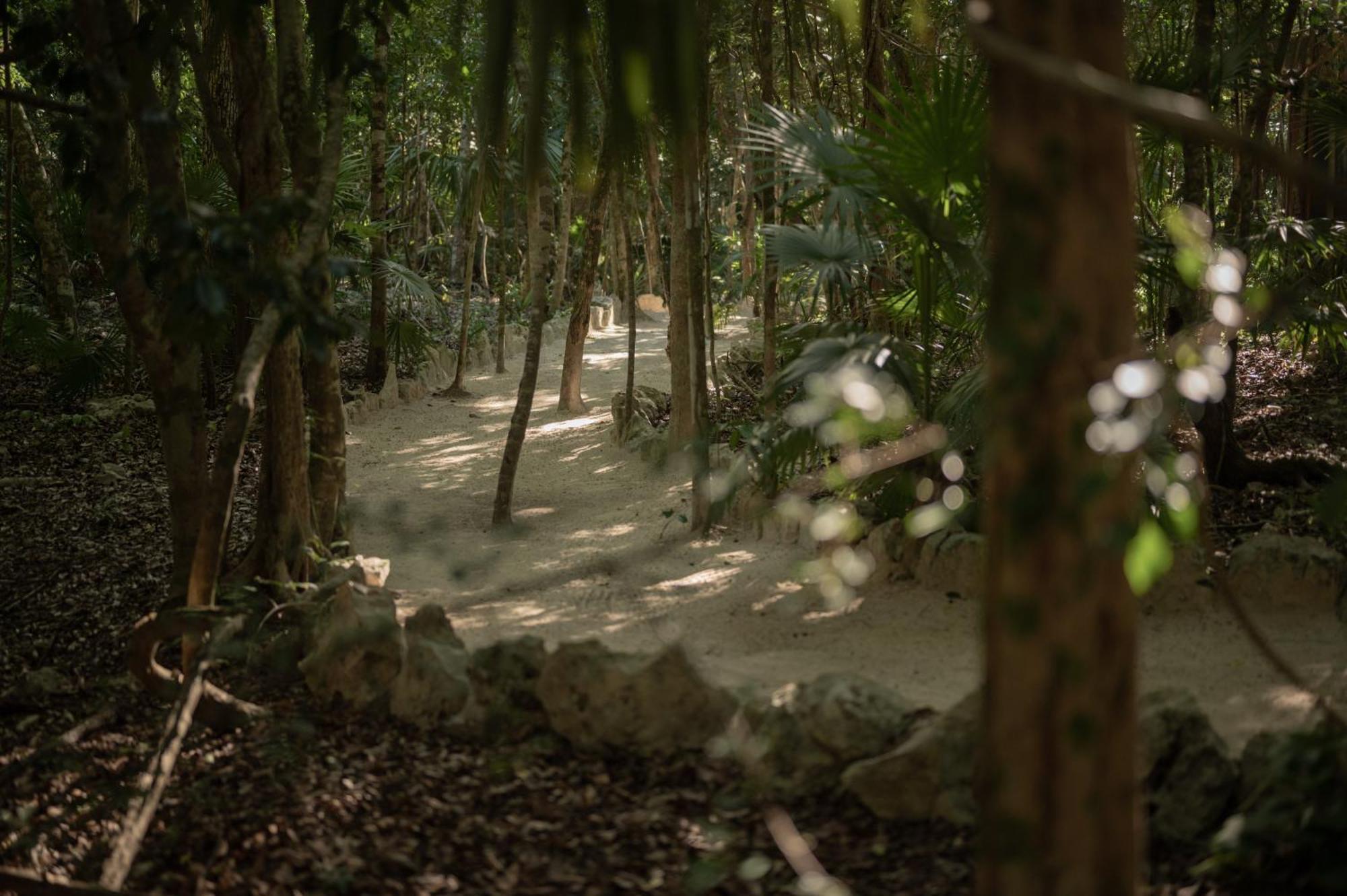Naum - Secluded Villa With Private Cenote 图卢姆 外观 照片