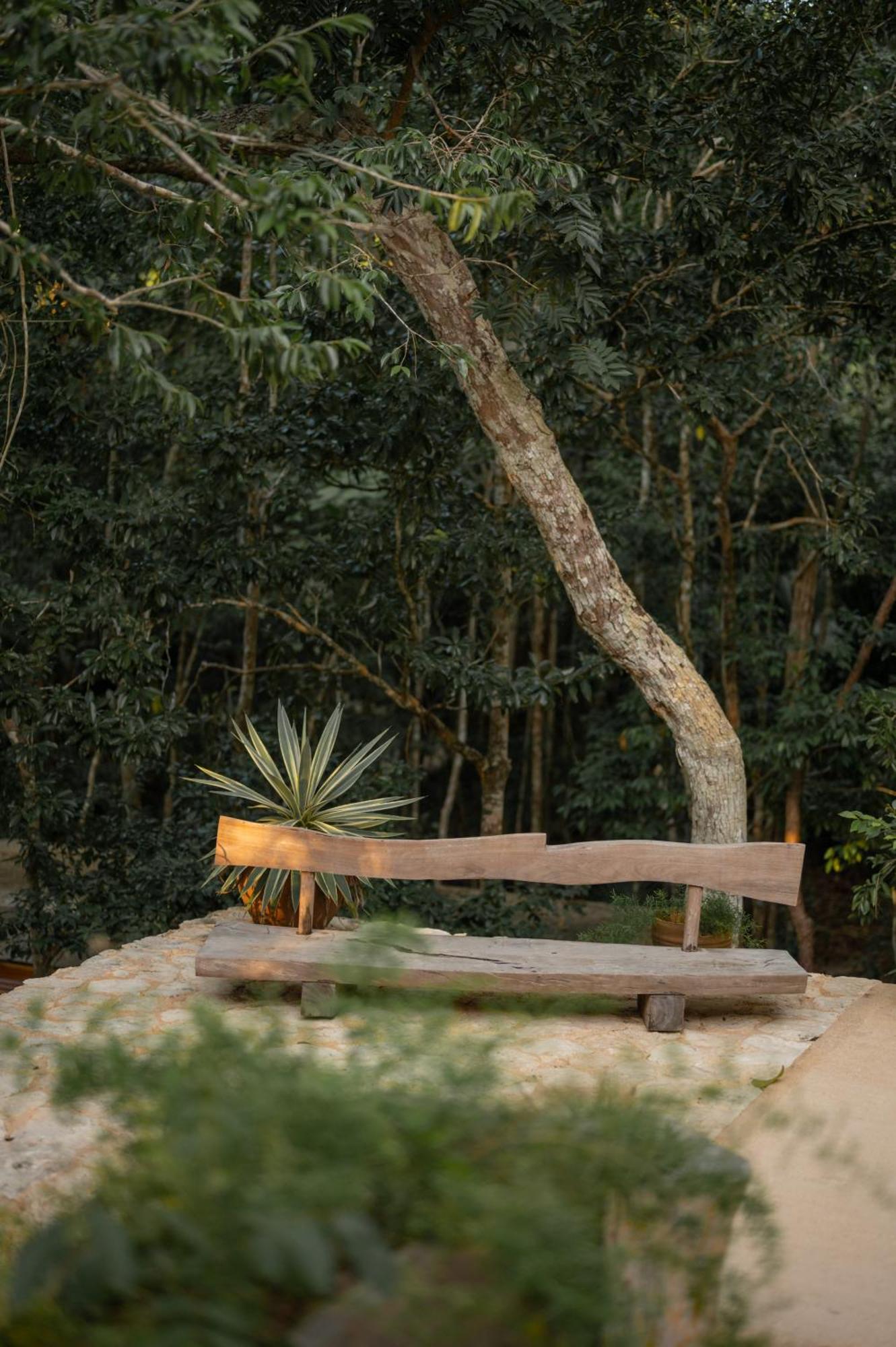 Naum - Secluded Villa With Private Cenote 图卢姆 外观 照片